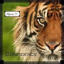 Cover image for Confidence