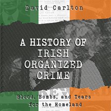 Cover image for A History of Irish Organized Crime