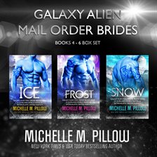 Cover image for Galaxy Alien Mail Order Brides Box Set