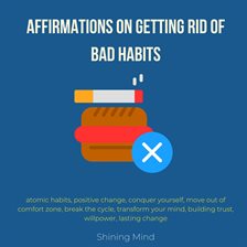 Cover image for Affirmations on Getting Rid of Bad Habits