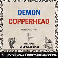 Cover image for Summary: Demon Copperhead