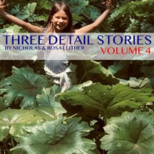 Cover image for Three Detail Stories