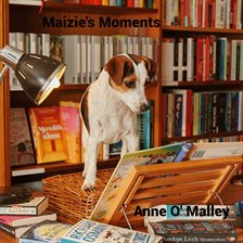 Imagen de portada para Maizie's Moments