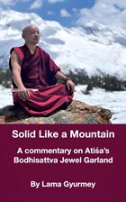 Cover image for Solid Like a Mountain