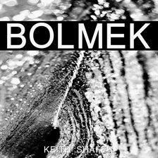 Cover image for Bolmek