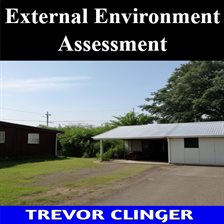 Cover image for External Environment Assessment