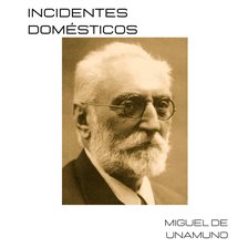 Cover image for Incidentes domésticos