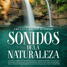 Cover image for Sonidos de la naturaleza: calma tu cuerpo con tranquilizadores sonidos de bosque y la cascada zen...