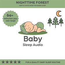 Cover image for Nighttime Forest: Gentle White Noise for Sleep