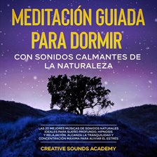 Cover image for Meditación guiada para dormir con sonidos calmantes de la naturaleza: las 20 mejores músicas de s...