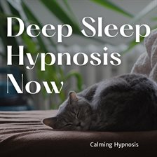 Imagen de portada para Deep Sleep Hypnosis Now
