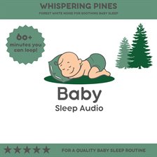 Cover image for Whispering Pines: Forest White Noise for Soothing Sleep