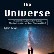 Cover image for The Universe