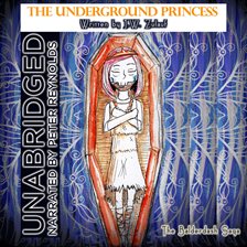 Cover image for The Underground Princess