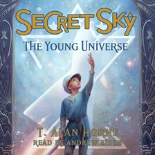 Cover image for Secret Sky