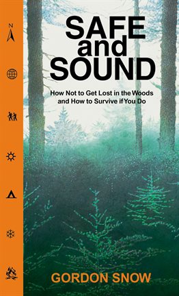 Cover image for Safe and Sound
