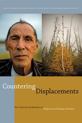 Cover image for Countering Displacements