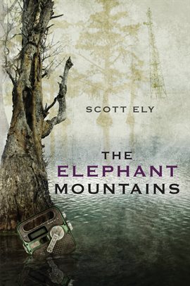 Cover image for The Elephant Mountains