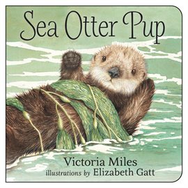 Cover image for Sea Otter Pup