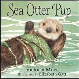 Cover image for Sea Otter Pup