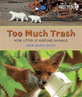 Cover image for Too Much Trash