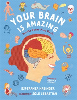 Your Brain Is Amazing
