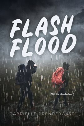 Cover image for Flash Flood