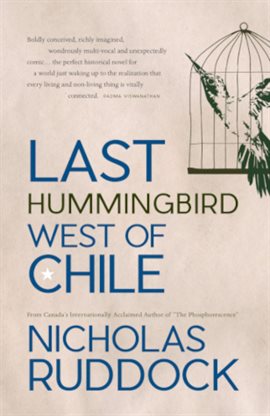 Cover image for Last Hummingbird West of Chile