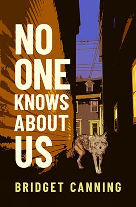 Cover image for No One Knows about Us