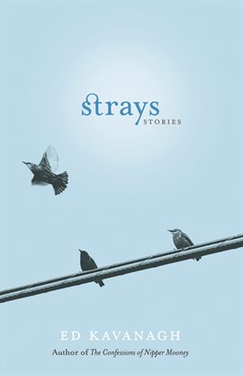 Imagen de portada para Strays