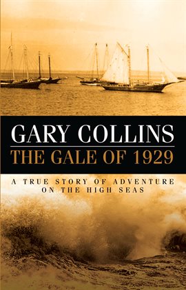 Cover image for The Gale Of 1929