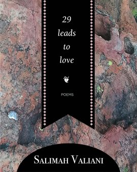 Cover image for 29 Leads to Love