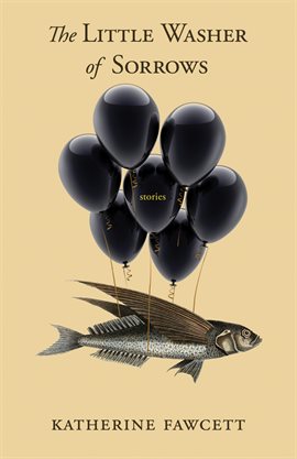 Cover image for The Little Washer of Sorrows