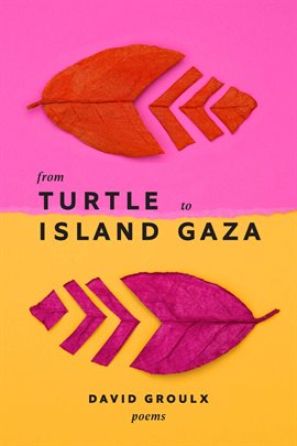 Imagen de portada para From Turtle Island to Gaza