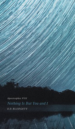 Cover image for Apostrophes VIII