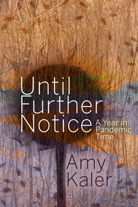 Cover image for Until Further Notice
