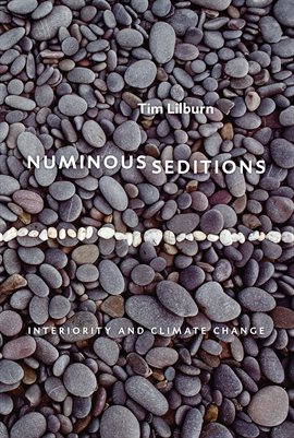 Cover image for Numinous Seditions