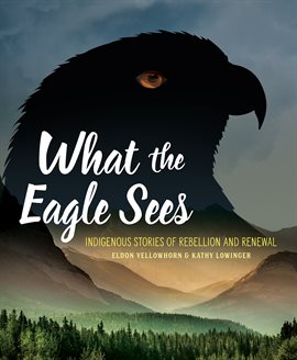 Cover image for What the Eagle Sees