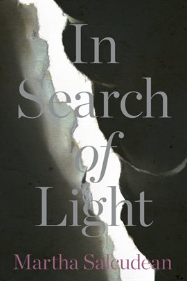Cover image for In Search of Light
