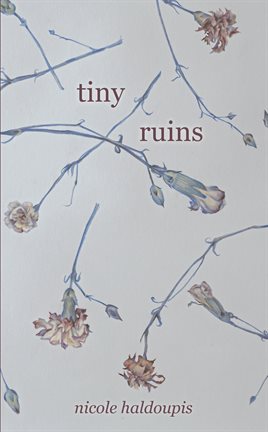 Cover image for Tiny Ruins