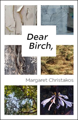 Cover image for Dear Birch,