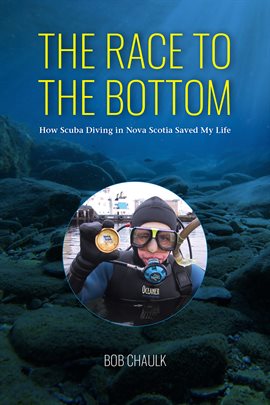 Cover image for The Race to the Bottom