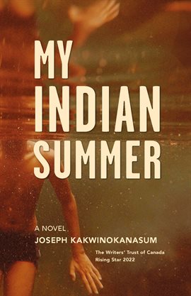 Cover image for My Indian Summer