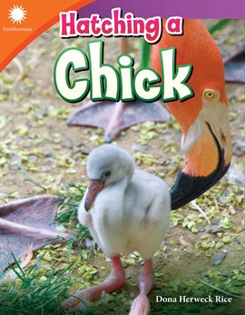 Cover image for Hatching a Chick