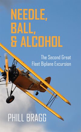 Cover image for Needle, Ball, and Alcohol
