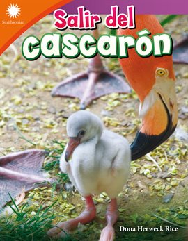 Salir del cascarón