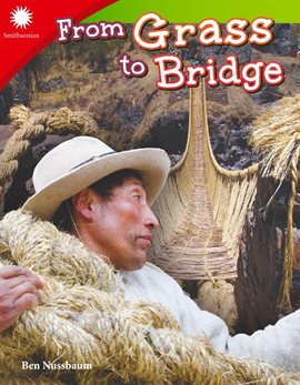 Cover image for From Grass to Bridge