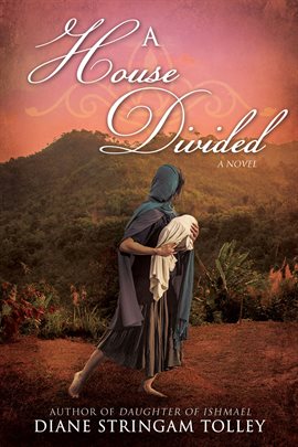 Cover image for A House Divided: A Novel