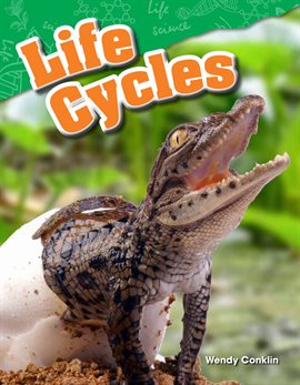 Cover image for Life Cycles