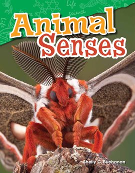 Cover image for Animal Senses